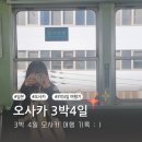 오사카 3박 4일 여행 기록 일지