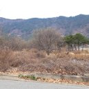 남강공인중개사사무소 이미지