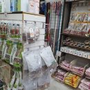 알았당개 이미지