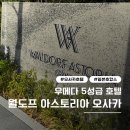 아이스킹서서 | 오사카 월도프 아스토리아 숙박 후기 (킹 프리미어 룸 업그레이드, 힐튼 다이아 혜택 총정리)