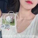 씨에이반려동물세상 | 반려동물 털 목걸이 알프 ARF후기, 고양이 털로 주얼리 주문 후기