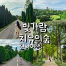 치유의 바람 | 전남여행 나주 빛가람 치유의숲 후기 메타세콰이어길·무료 힐링 코스