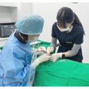 부평탑치과의원 네이버블로그