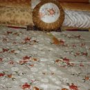 경북수지 이미지