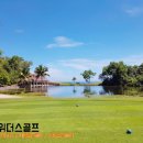 잔디 골프 투어
