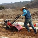 송암농원 이미지