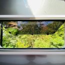 개곡리농장 | 가평펜션 오블리비아테 수영장 펜션 카라반