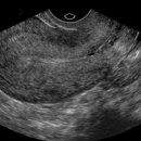 엠여성의원 이미지