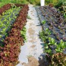 태평정미소 이미지