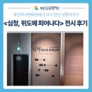 심청 | 2025 부안역사문화관 전시 후기, &lt;심청, 위도에 피어나다&gt; 설치미술+티코스터 체험