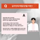 디딤동물병원 | 양측 TPLO 진행한 케이스, 이제는 다시 균형 있게 걷습니다