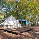 숲속에서 캠핑장 이미지