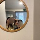 미선이네집 이미지