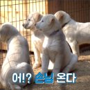 새집 이미지