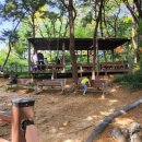 수봉공원 (유아숲체험원) 이미지