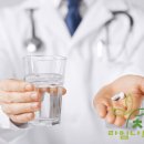 라임나무 이미지