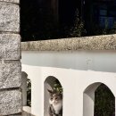 소소로이 | 제주 소소로이 숙박 후기