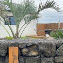 스테이 안셈 | [제주 독채펜션] 스테이안셈