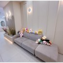 맘바이 루프탑 테라스 강아지 애견호텔 애견유치원 이미지