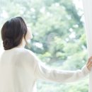 보비쥬의원 네이버블로그