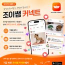 손끝을 깨우는 종이접기 네이버블로그