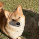 동산충전소 이미지