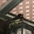 둥지2농장 이미지