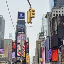 뚜기네 민박 이미지