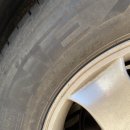 스피드 메이트(대농점) 이미지