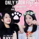 일산 Box-1 복싱 이미지