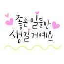 새로나공인중개사사무소 이미지