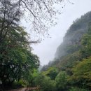 참샘물1호약수터 | 정선 화암약수야영장 캠핑장 명당 소개| 강원도 정선 2박3일 여행