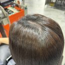 미르헤어 이미지