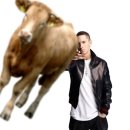 민속원조갈비 | 포항 죽도시장/시내 현지인 소고기 맛집 민속원조갈비