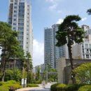 새서울부동산공인중개사사무소 이미지