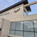 장성마실 | 광주 근교 장성 카페 태미 후기｜애견동반 가능한 수족관 카페