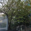 구룡주공그린빌 이미지