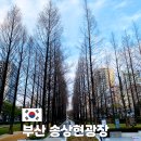 서면 신매리 자전거쉼터 | 부산 서면 산책 코스 추천 송상현광장 도심에서 걷기 좋은 곳