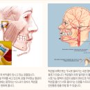턱 관절 질환의 원인 / 고지혈 / 膽石症 / 임플란트/눈꺼풀 떨림’ 이미지