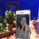 마켓버스