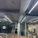 (주)코리아세븐 강남청담점 | 발레핏코리아 청담본점 힙업 빵댕이 폭주기관차 탑승 후기