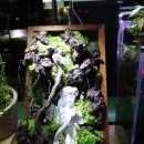 아쿠아플랜트디자인 이미지