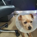 별님달님 이미지