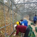 구포3동-11 이미지