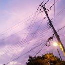 팔당원조칼제비칼국수 이미지