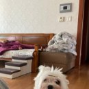 Grooming pet(그루밍펫) 이미지