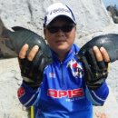 도장포낚시터 이미지