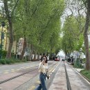 일리있는마켓 | 베네치아 신혼여행ㅣ본섬 맛집, 부라노섬, 일리커피, 수소젤라또, 플로리안 카페