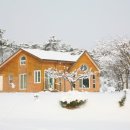 진경원민박캠핑장 이미지