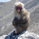 해남동물나라 이미지